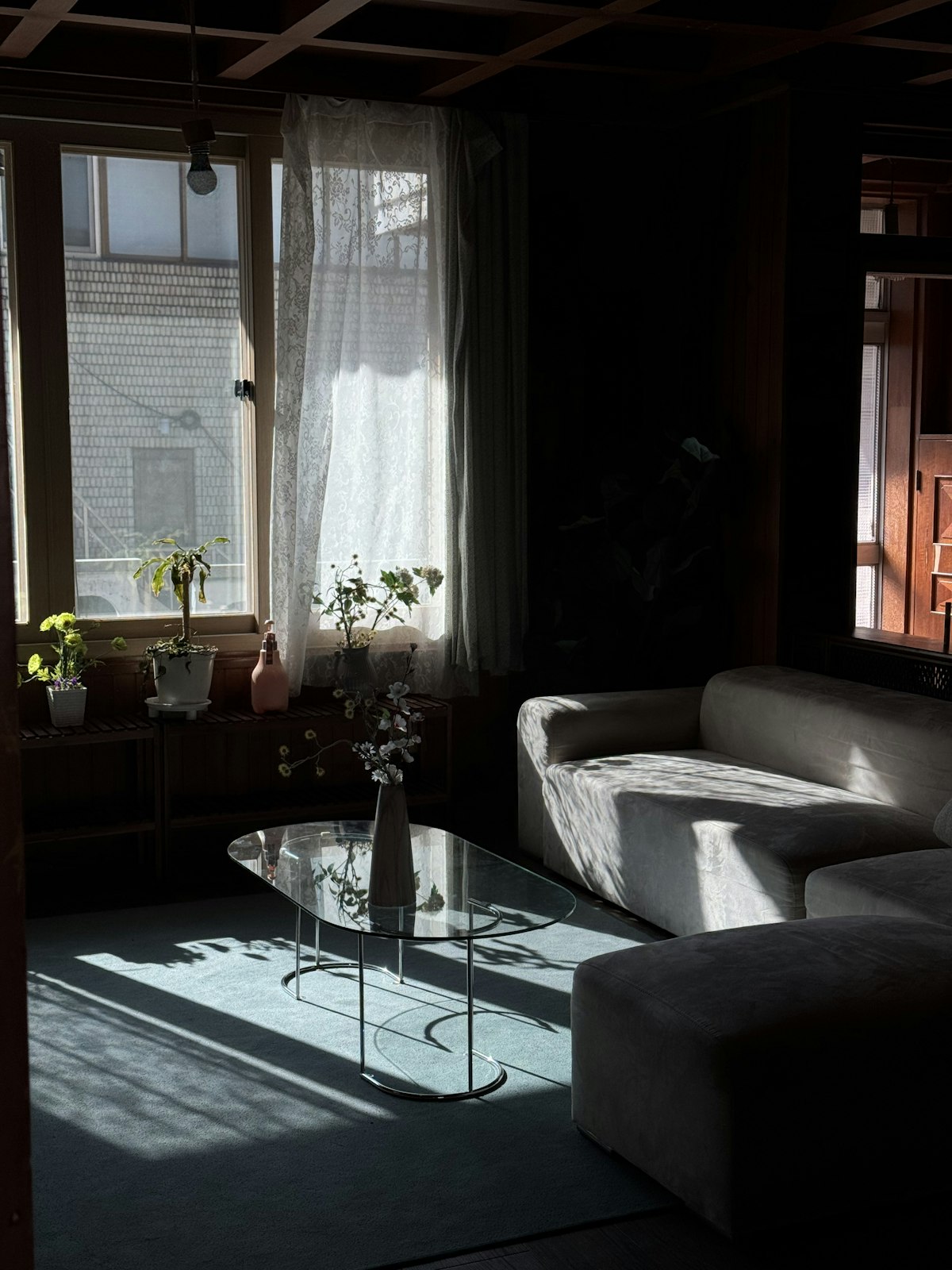 Sunlight streaming through sheer curtains into a living room