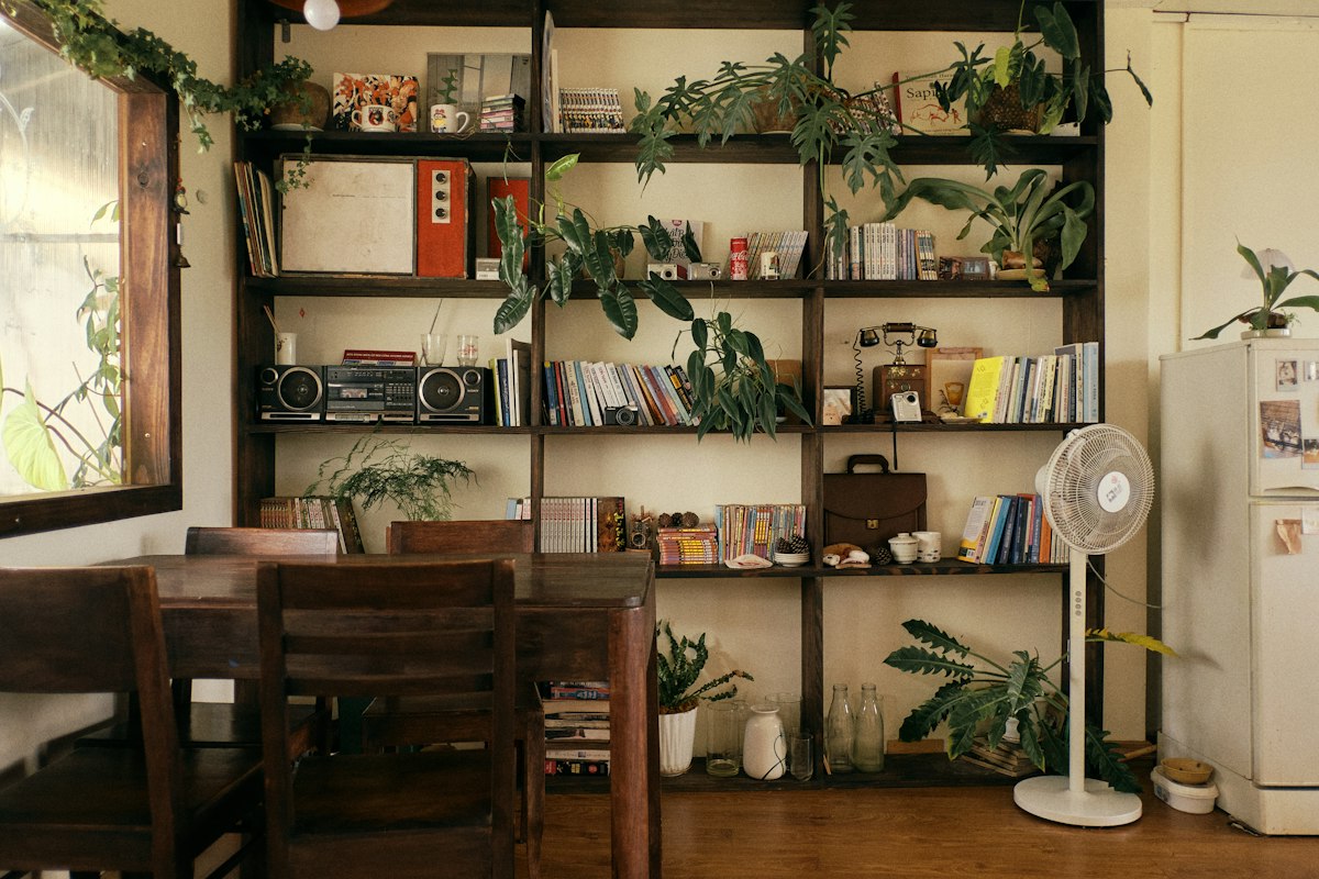 Tall bookshelf wall styled with books, plants, and ceramics